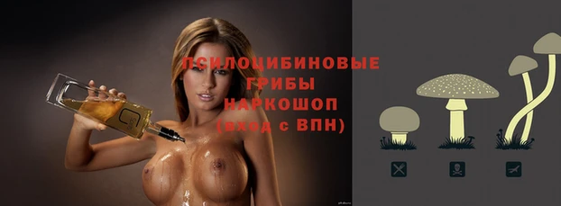 кокаин Белокуриха