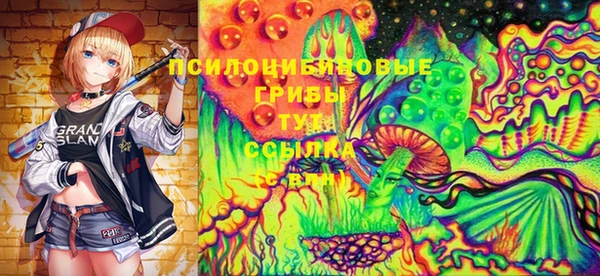 кокаин Белокуриха