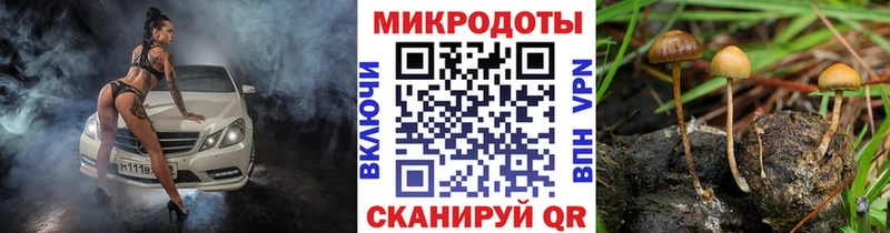 Псилоцибиновые грибы GOLDEN TEACHER  Валуйки 
