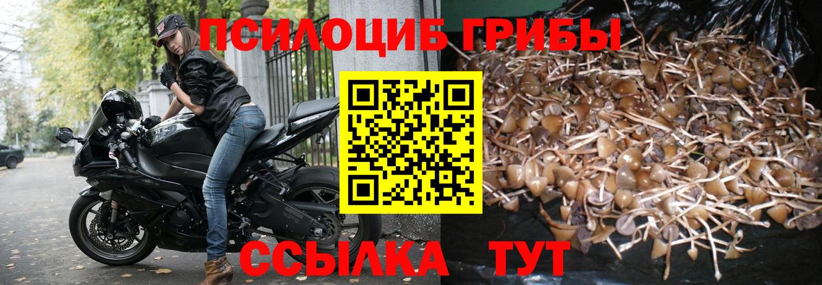Псилоцибиновые грибы GOLDEN TEACHER Валуйки